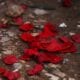 Apache Junction, AZ cremation services