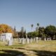 Cremation services in Apache Junction, AZ