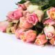 Cremation services in Mesa, AZ