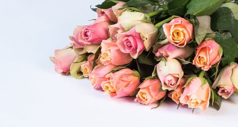 Cremation services in Mesa, AZ