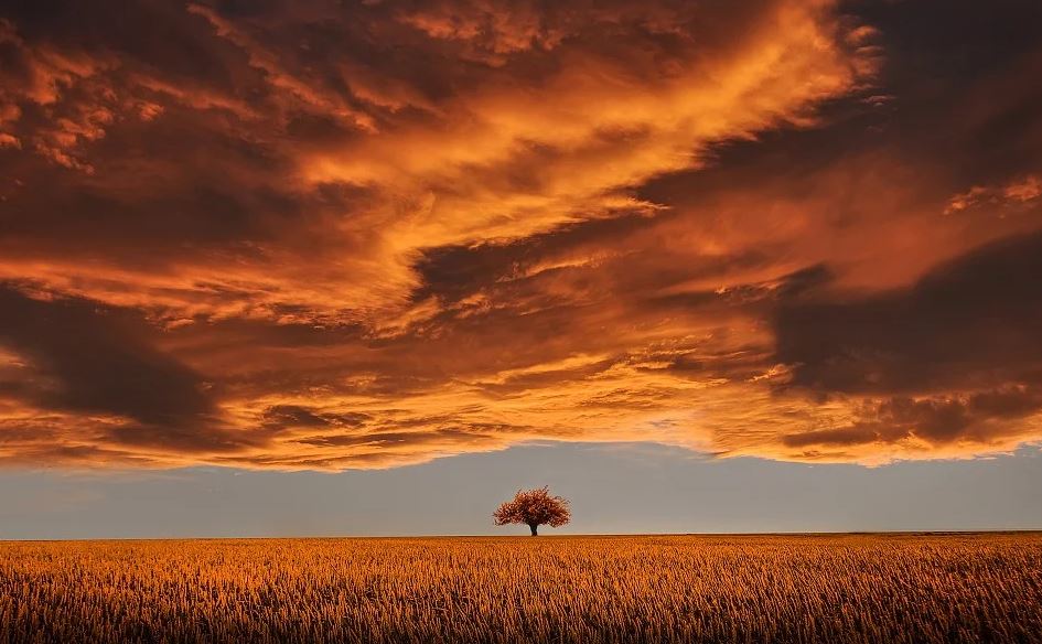 Mesa, AZ cremation services