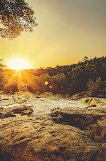 cremation services in Gilbert, AZ