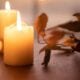 creation services in Apache Junction, AZ