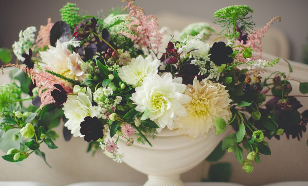 cremation service in Apache Junction, AZ