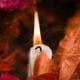 cremation service in Gilbert, AZ