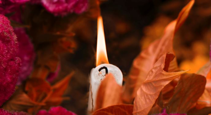 cremation service in Gilbert, AZ