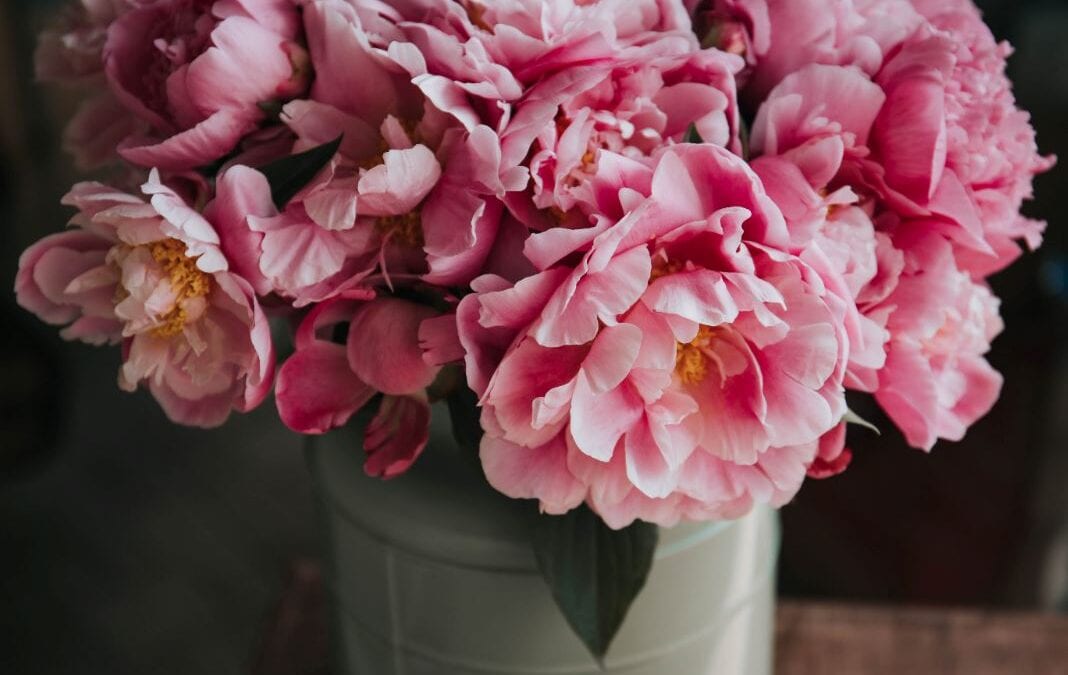 cremation service in Gilbert, AZ