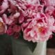 cremation service in Gilbert, AZ