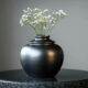 cremation services Apache Junction, AZ