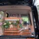 cremation services Apache Junction, AZ