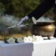 cremation services Apache Junction, AZ