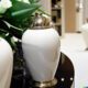 cremation services Apache Junction, AZ