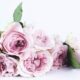cremation services Gilbert, AZ