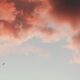 cremation services in Apache Junction, AZ