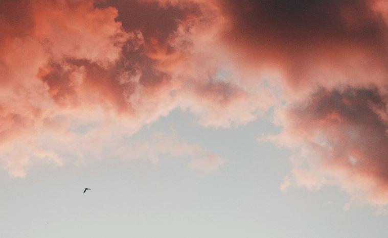 cremation services in Apache Junction, AZ