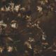 cremation services in Apache Junction, AZ