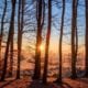 cremation services in Apache Junction, AZ
