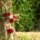 cremation services in Apache Junction, AZ