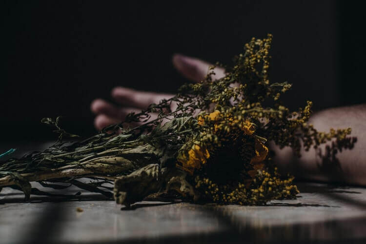 cremation services in Apache Junction, AZ