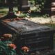 cremation services in Apache Junction, AZ
