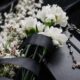 cremation services in Gilbert, AZ