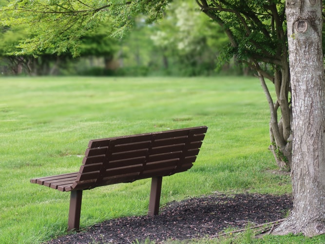 cremation services in Gilbert, AZ