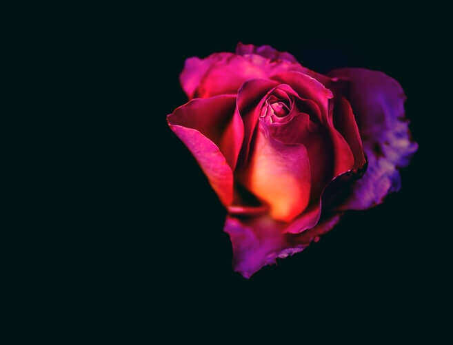 cremation services in Gilbert, AZ