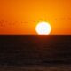 cremation services in Gilbert, AZ