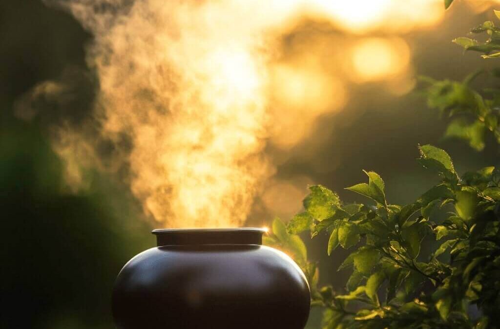 cremation services in Gilbert, AZ