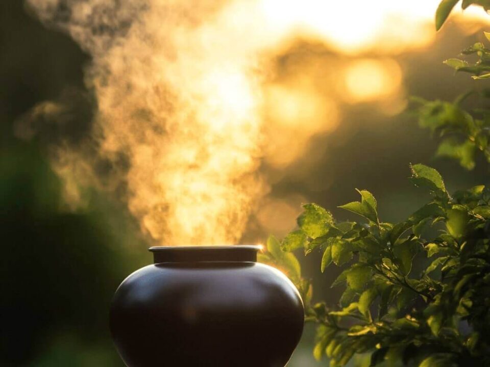 cremation services in Gilbert, AZ