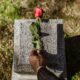 cremation services in Gilbert, AZ