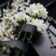 cremation services in Mesa, AZ