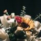 cremation services in Mesa, AZ