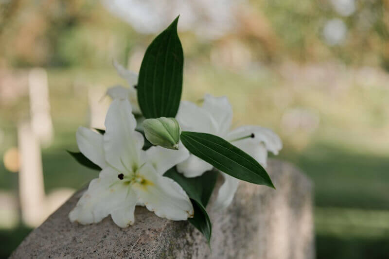 cremation services in Mesa, AZ