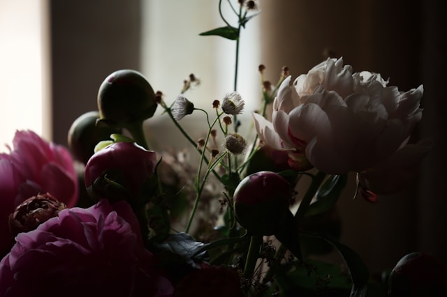 cremation services in Mesa, AZ