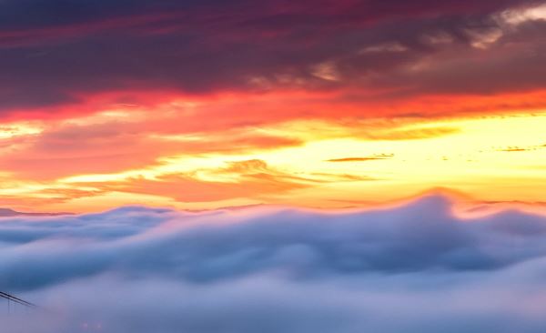 cremation services in Mesa, AZ