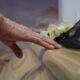 cremation services in Mesa, AZ