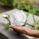 cremation services in Mesa, AZ