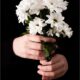 cremation services in Mesa, AZ