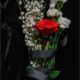 cremation services in Apache Junction, AZ